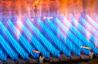 Carlton gas fired boilers